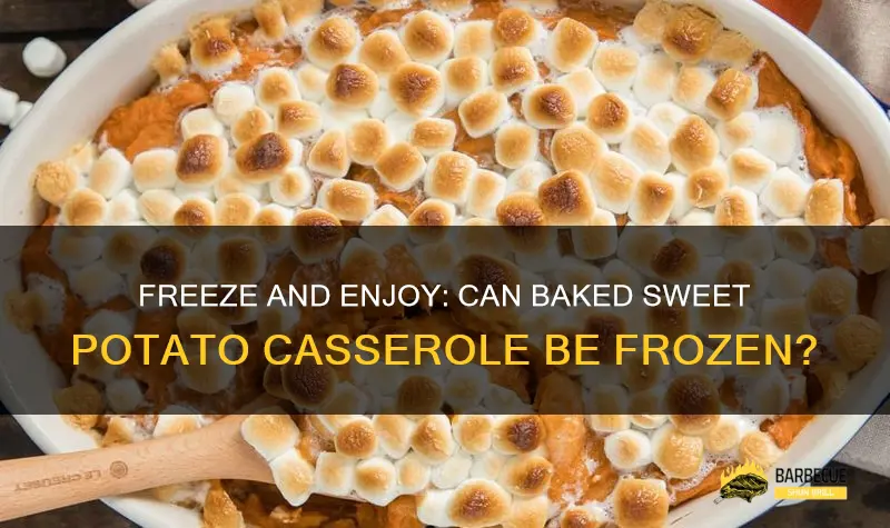 Freeze And Enjoy: Can Baked Sweet Potato Casserole Be Frozen? | ShunGrill