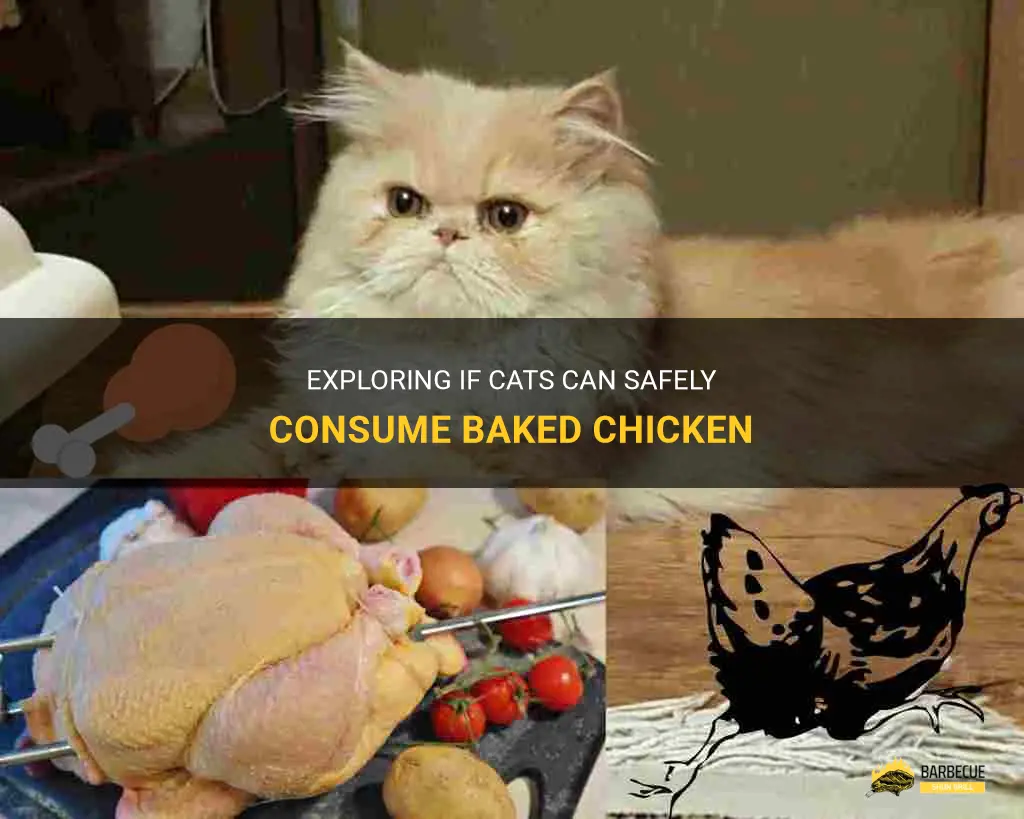 Exploring If Cats Can Safely Consume Baked Chicken | ShunGrill