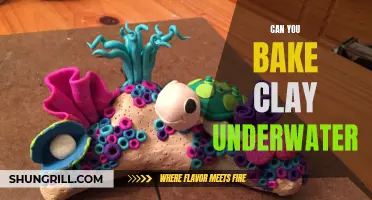 Exploring the Myth: Can You Bake Clay Underwater?