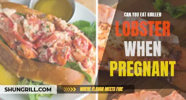 Is it Safe to Indulge in Grilled Lobster during Pregnancy?