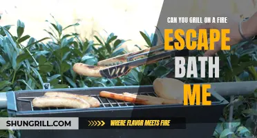 Grilling on a Fire Escape: Exploring the Benefits and Safety Measures for BBQ Enthusiasts in Urban Settings