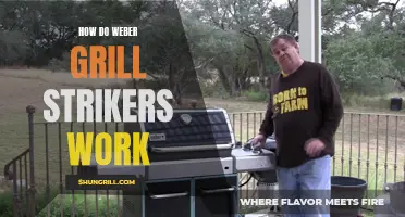 Understanding the Functionality of Weber Grill Strikers: A Detailed Overview