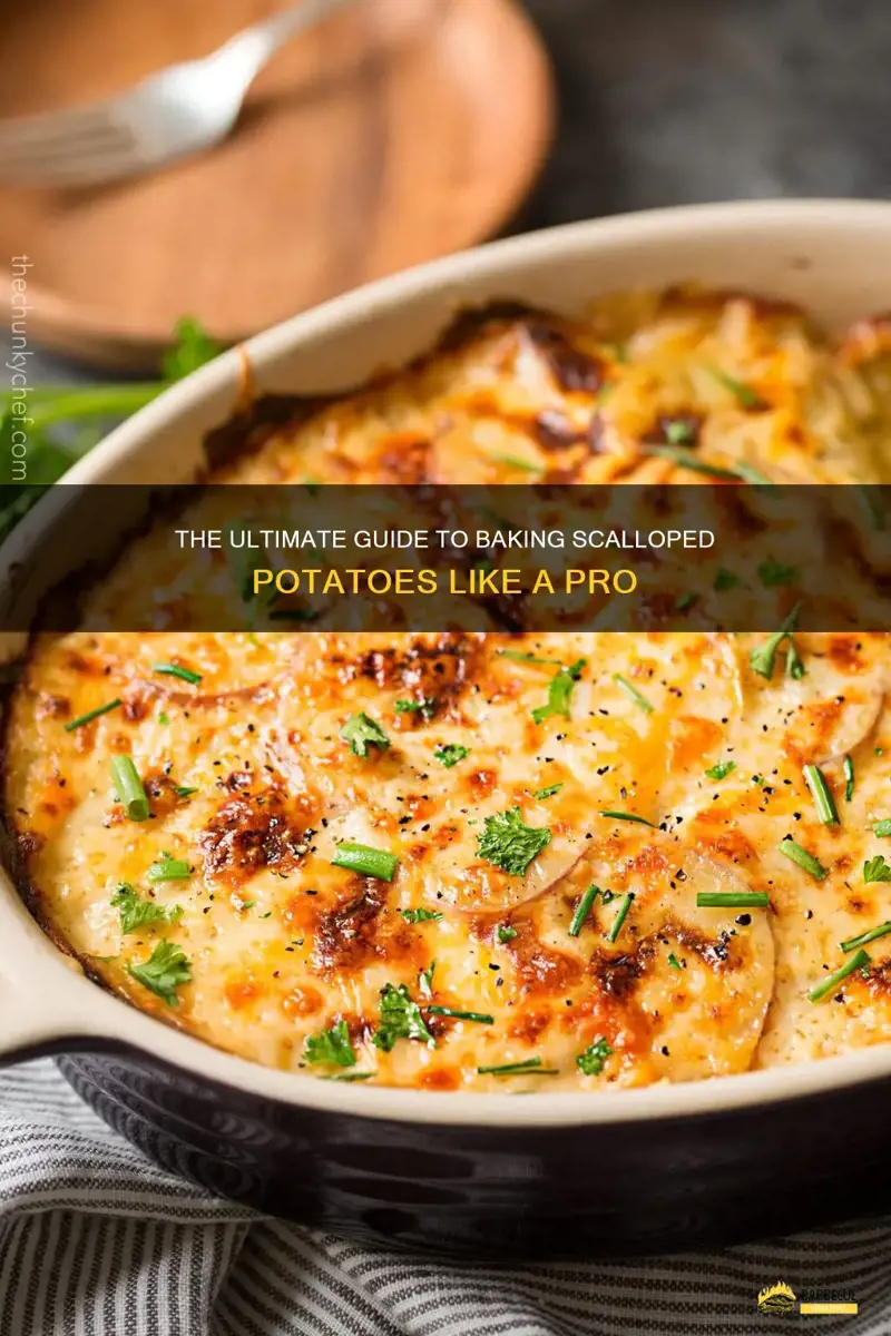 The Ultimate Guide To Baking Scalloped Potatoes Like A Pro | ShunGrill