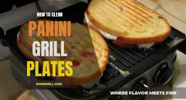The Ultimate Guide to Cleaning Panini Grill Plates