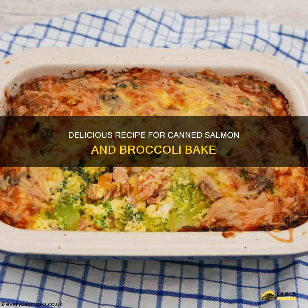 Delicious Recipe For Canned Salmon And Broccoli Bake | ShunGrill