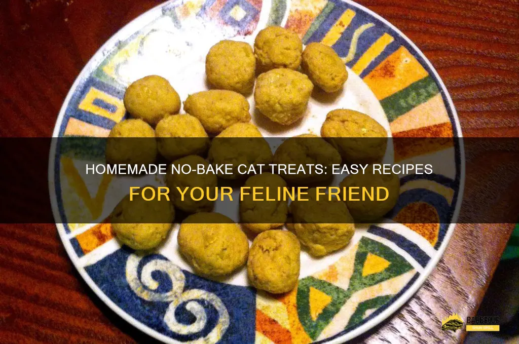 Homemade No-Bake Cat Treats: Easy Recipes For Your Feline Friend ...