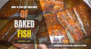 The Key Ingredient: Unveiling the Substance of Baked Fish