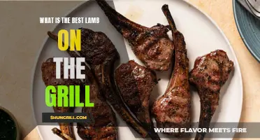 The Ultimate Guide to Grilling the Perfect Lamb: Find the Best Cut for Impressive Results