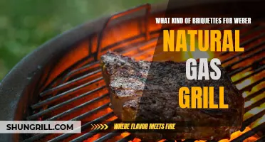 Choosing the Perfect Briquettes for Your Weber Natural Gas Grill: A Comprehensive Guide