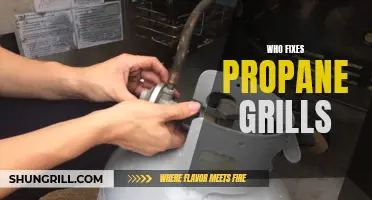 Propane Grill Repair: Who Can Fix Your BBQ?