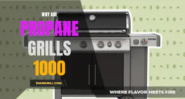 Why Are Propane Grills So Expensive?