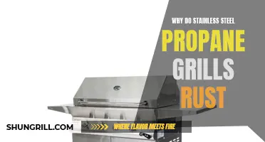 Why Stainless Steel Propane Grills Can Rust and How to Prevent It