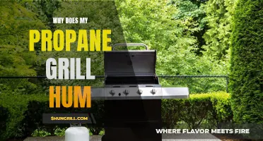 Why Does My Propane Grill Hum? Common Causes and Solutions