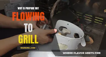 Why Is Propane Not Flowing to Grill? A Troubleshooting Guide
