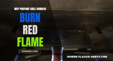 The Story Behind the Red Flames on Propane Grill Burners Revealed