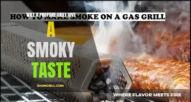 Can a Propane Grill Give Your Food a Smoky Flavor?