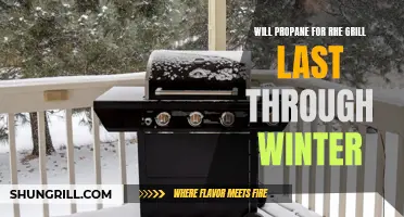 Ensuring a Lasting Propane Supply for Grilling Throughout the Winter Season